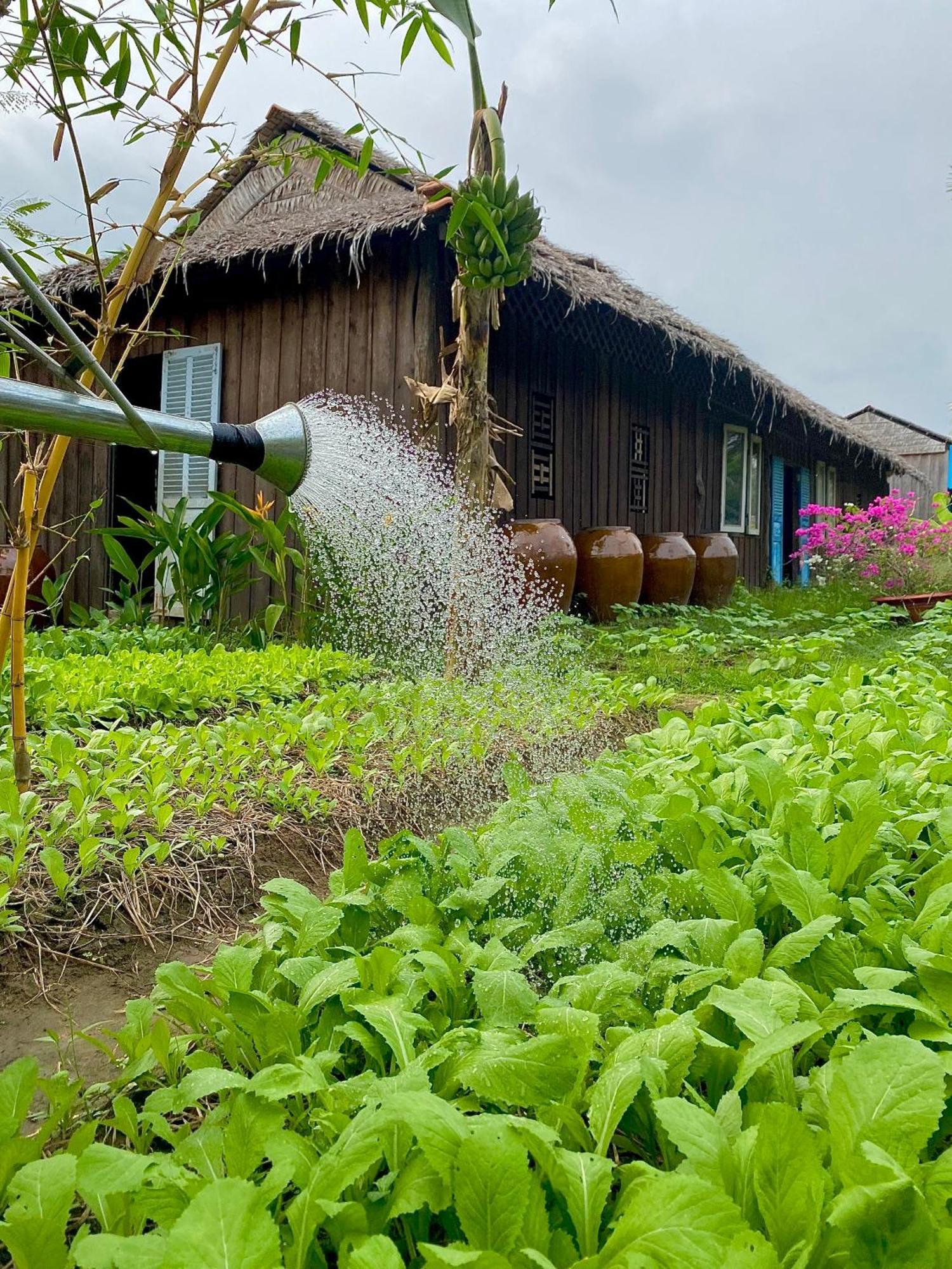 Mekong Silt Ecolodge Can Tho Exteriör bild
