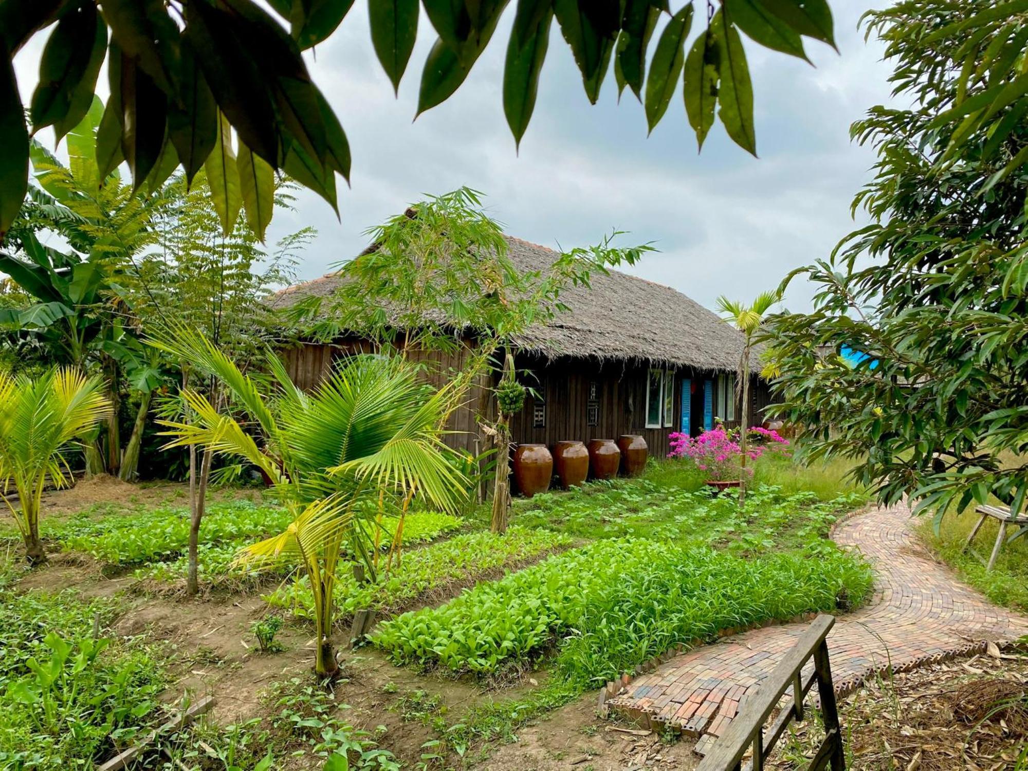 Mekong Silt Ecolodge Can Tho Exteriör bild